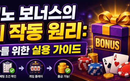 카지노 보너스의 실제 작동 원리: 초보자를 위한 실용 가이드