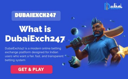 What Is Dubai Exchange 247? Complete Guide for Indian Users