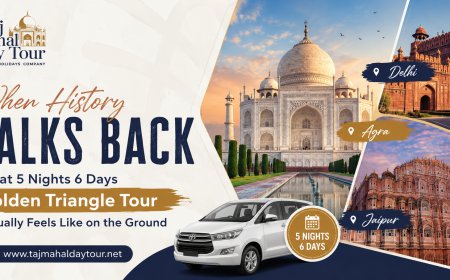 When History Talks Back — What 5 Nights 6 Days Golden Triangle Tour Actually Feels Like on the Ground