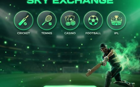 What Is Sky Exchange? Complete Guide for Indian Users