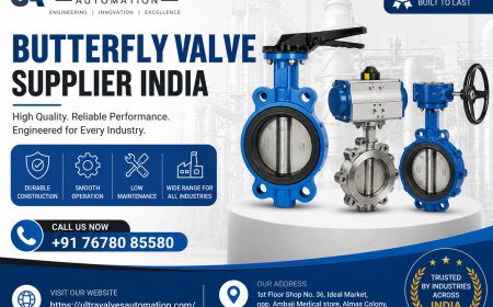 Butterfly Valve Supplier in India