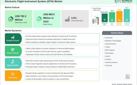 Electronic Flight Instrument System (EFIS) Market Growth Story Driven by 26.1% Revenue Increase Through 2033