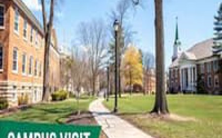 What Should I Learn to Do Before I Go to University in the UK
