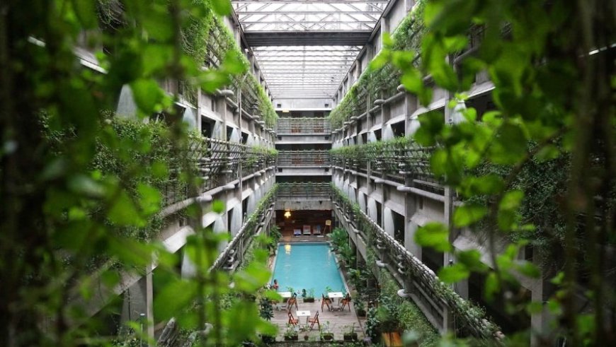 Presupuesto de Jardín Vertical: Todo lo que Debes Saber Antes de Invertir en un Espacio Verde Vertical
