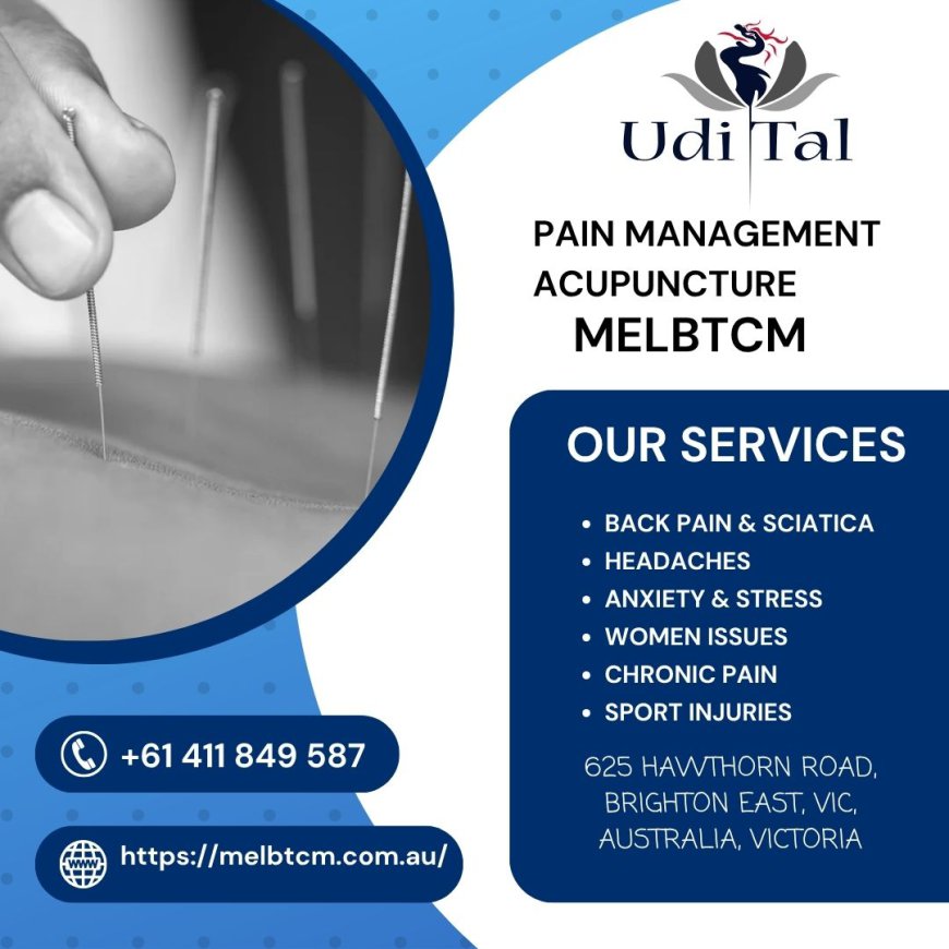 Expert Doctor of Traditional Chinese Medicine Bayside Melbourne