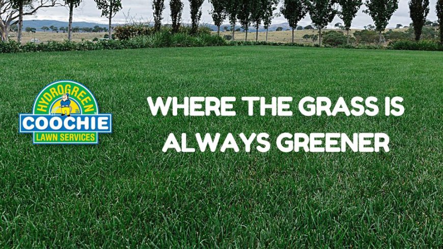 Lawn Care Services: Achieve a Healthier, Greener Lawn in Strathpine