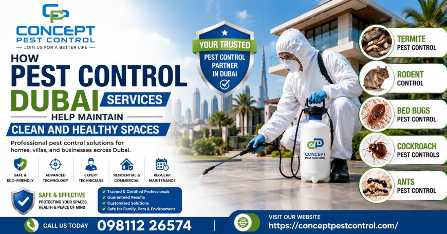 How Pest Control Dubai Services Help Maintain Clean and Healthy Spaces