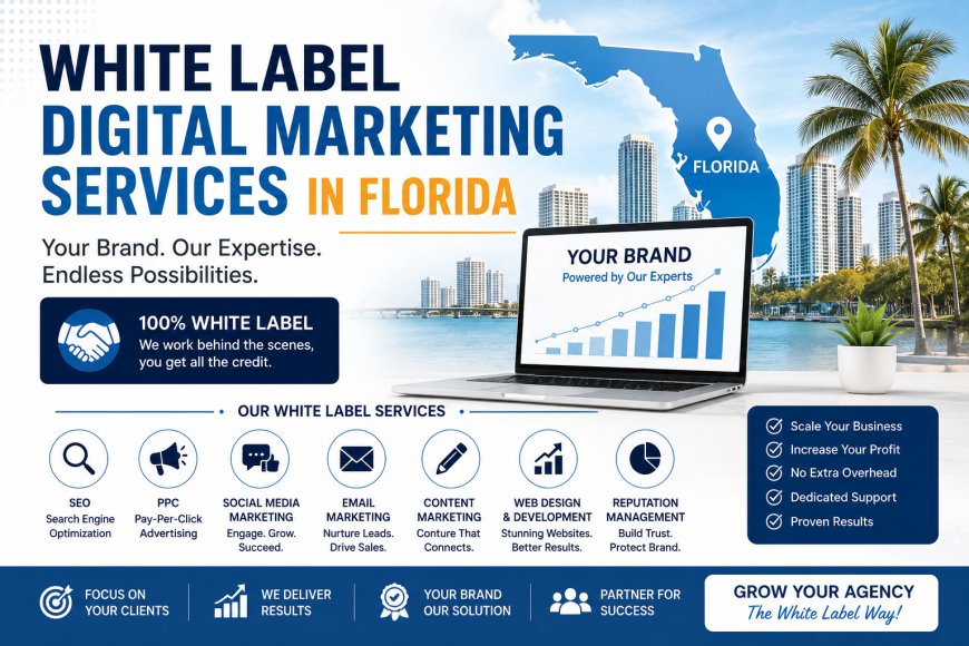 White Label Digital Marketing Services in Florida | The Smart Growth Solution for Modern Agencies