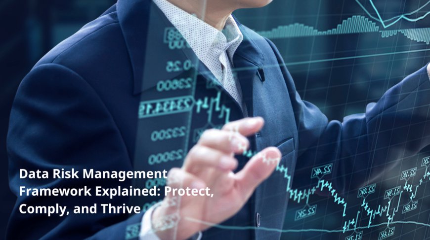 Data Risk Management Framework: Why Businesses Need More