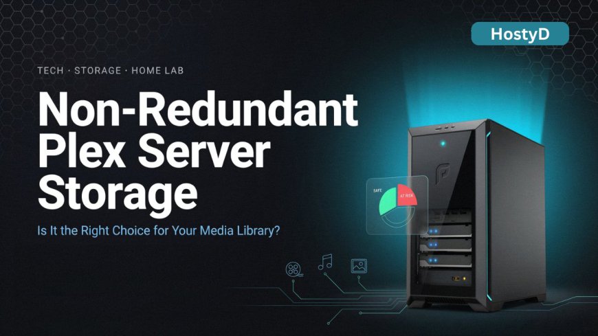 Non-Redundant Plex Server Storage: Is It the Right Choice for Your Media Library?