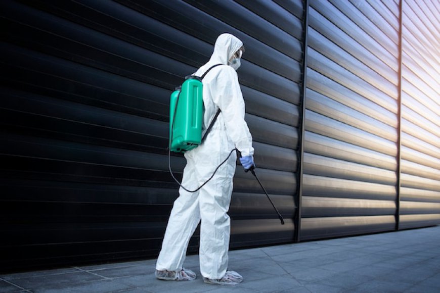 Certified Pest Control Services in Sainik Farm for Effective Pest Prevention