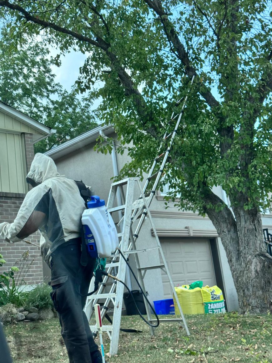 PESTBYE PEST CONTROL | Pest Control service in Scarborough