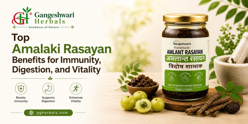 Top Amalaki Rasayan Benefits for Immunity, Digestion, and Vitality