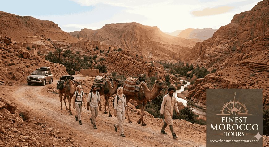 How to Choose Morocco Official Tours for a Truly Authentic Experience
