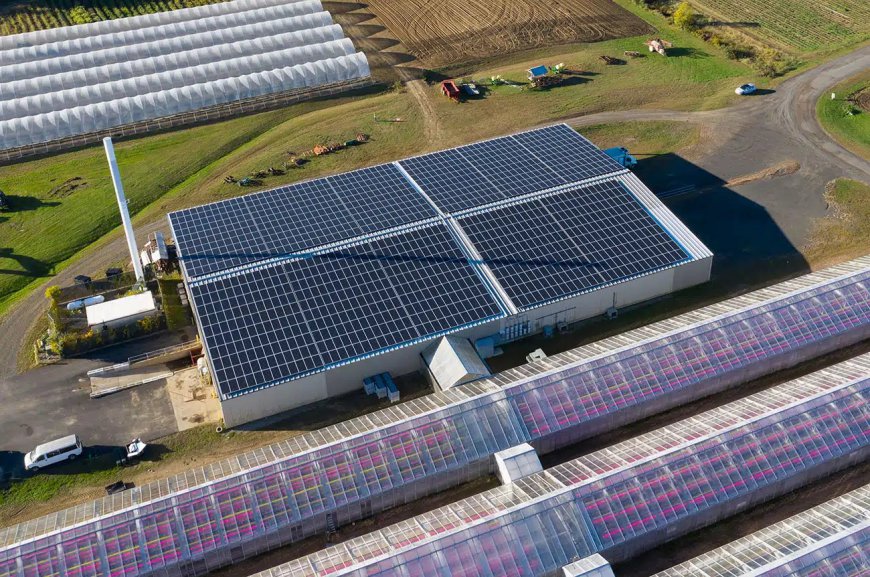 How Commercial Solar Installation Reduces Costs