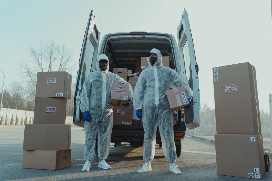 Fragile Item Handling: How House Removal Experts Protect Valuables and Antiques