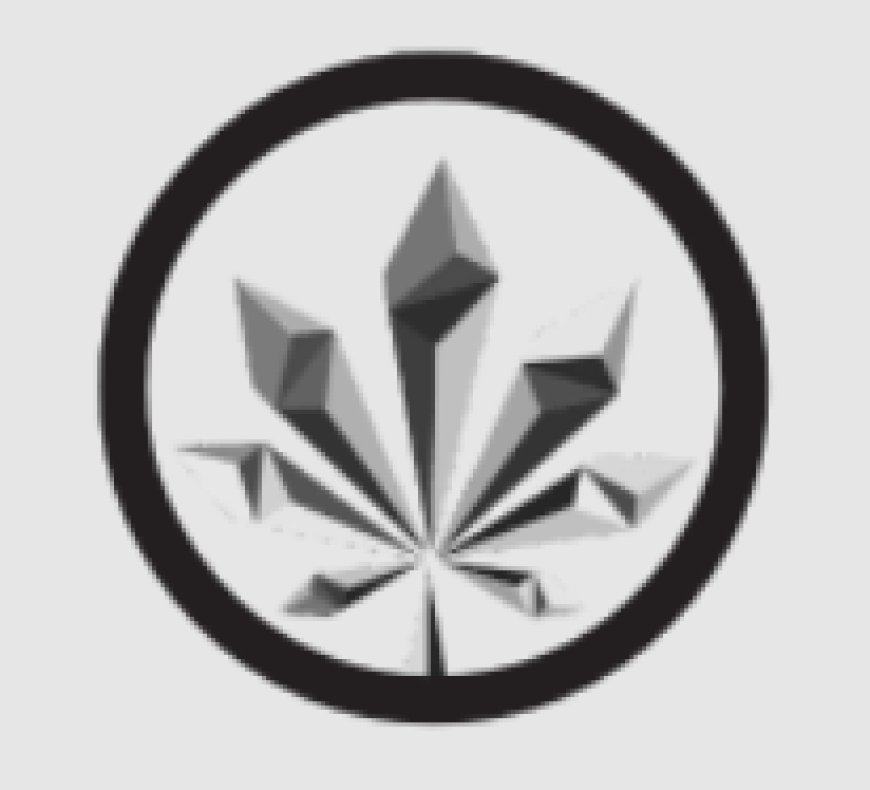 Cannabis Delivery Service: A Modern Way to Access Cannabis Products