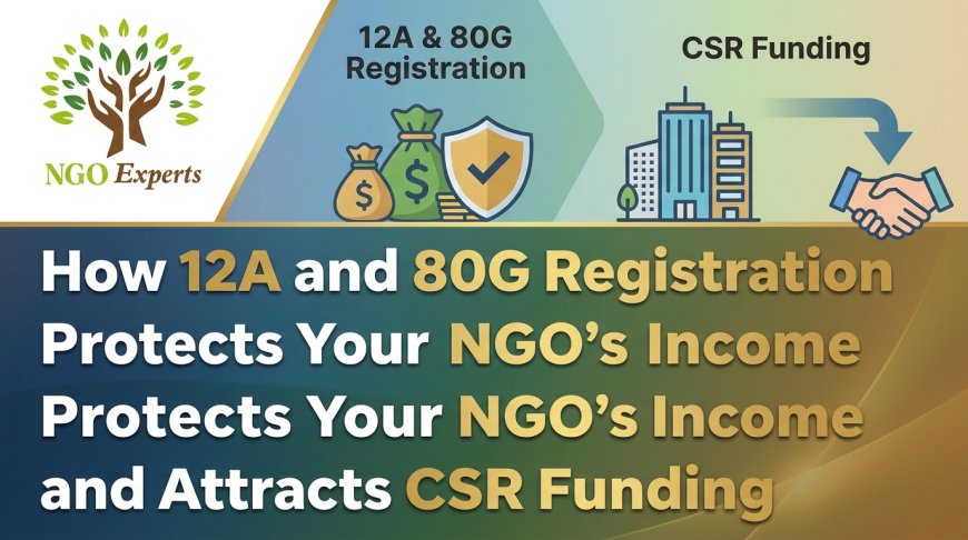 Understanding 12A and 80G Registration Fees for NGOs in India