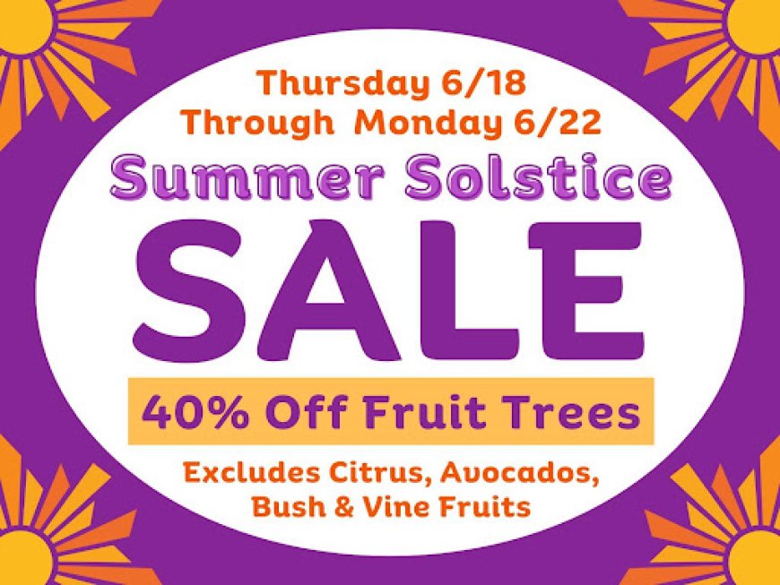 Summer Care for Backyard Fruit Trees | East Bay | Evergreen Nursery