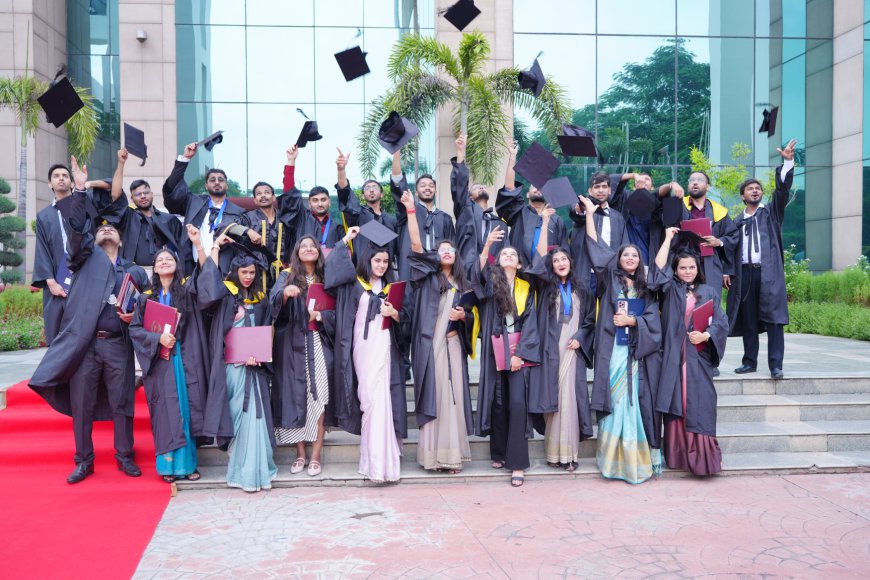 BBA Course in Delhi NCR: Top Alternatives to Delhi University (DU)