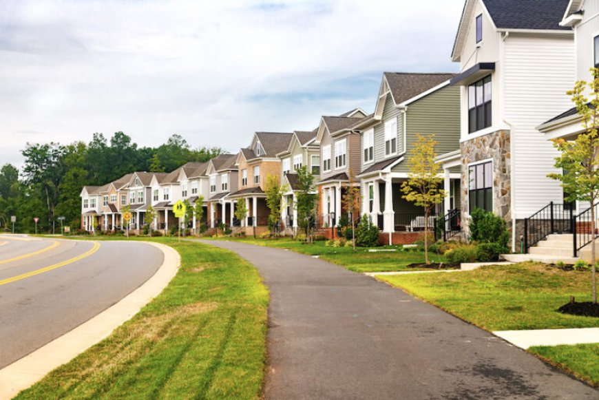 Can a Pest Control Company Help Maintain a Healthier Living Environment?