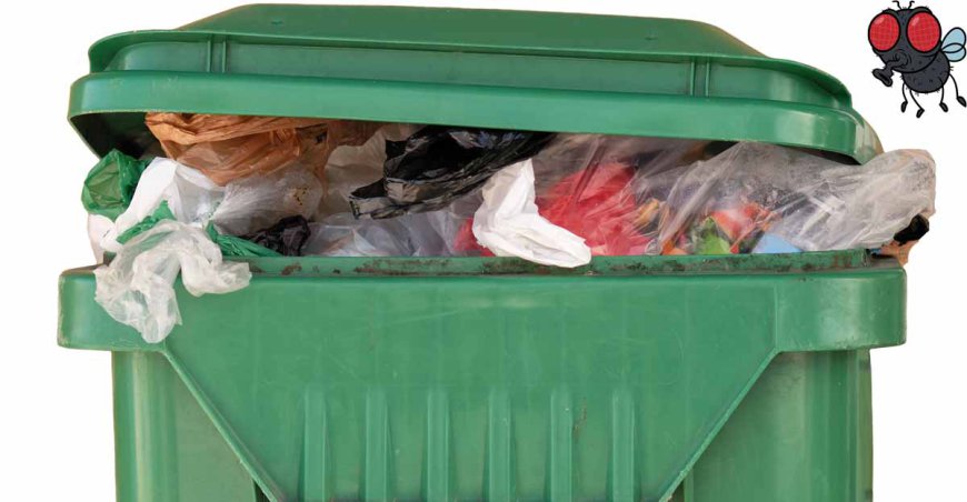 BrightBins: Professional Bin Cleaning Solutions for a Cleaner, Healthier USA