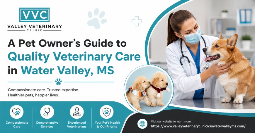 A Pet Owner's Guide to Quality Veterinary Care in Water Valley, MS