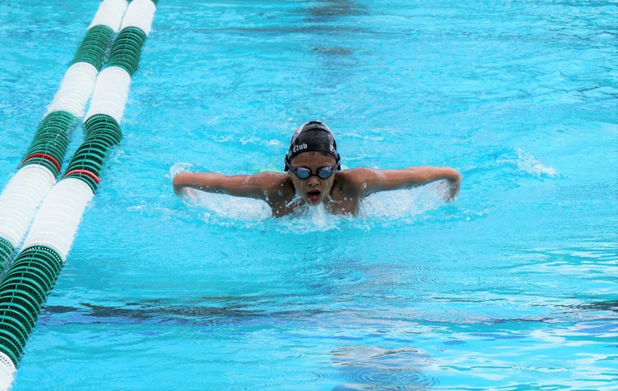 What Should Beginners Know Before Taking Butterfly Stroke Lessons?