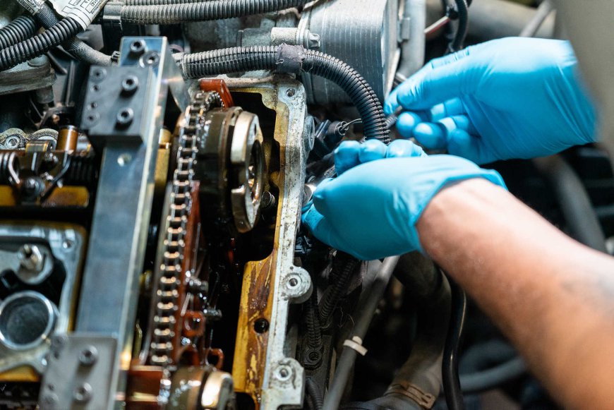 The Complete Guide to Wet Timing Belt Replacement Cost in the UK