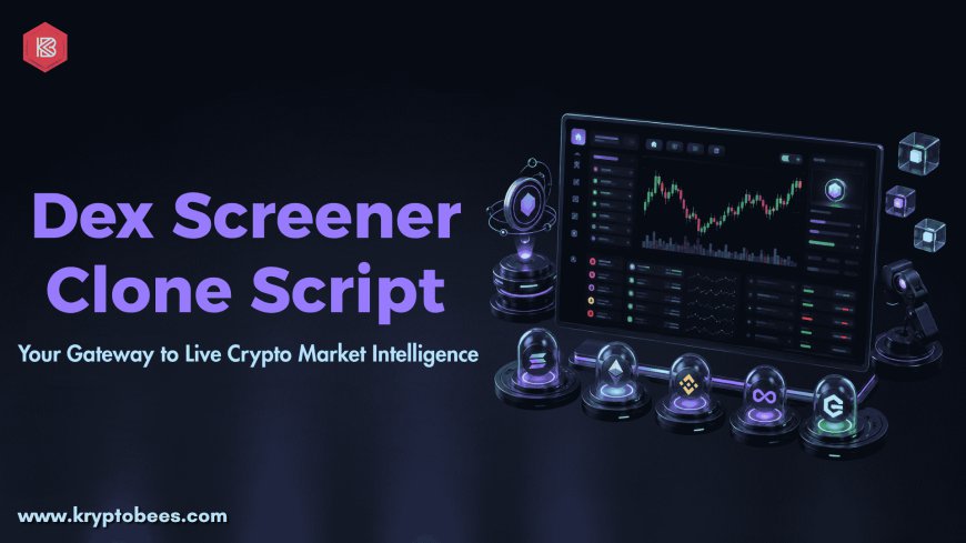 How Easy Is It to Scale a Dex Screener Clone Script for Global Crypto Users?