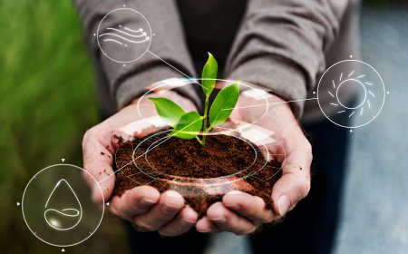 Global Regenerative Agriculture Market Outlook: Size, Trends, and Opportunities