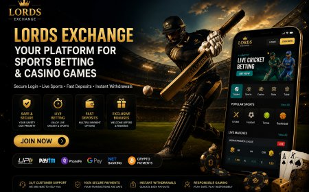 LordsExchange Wallet Activity Guide for Better Transaction Tracking