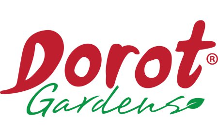 What Is Chopped Parsley Used For in Cooking?