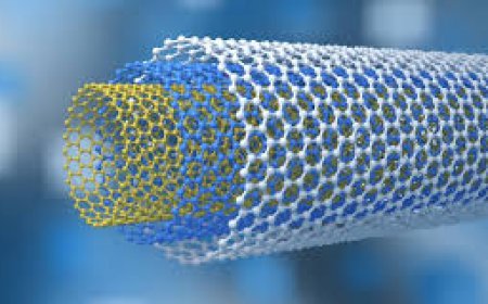 Carbon Nanotubes Market Size, Trends, and Growth Forecast 2026-2033