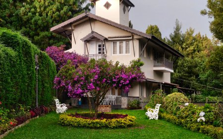 Experience supreme hospitality at Best homestay in Sakleshpur