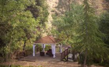 Finding Inner Harmony at the Best Retreat & Spa Sequoia
