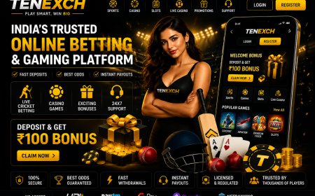 Tenexch ID Guide for New Users Looking for Cricket Betting Access