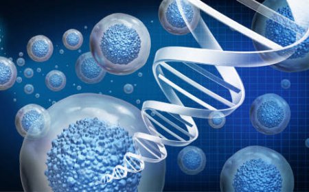 How Does Stem Cells Therapy Work?
