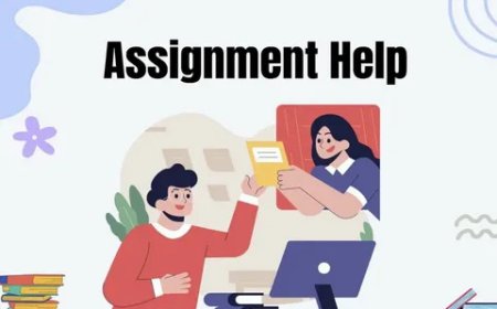 How Can You Choose Assignment Help Wisely