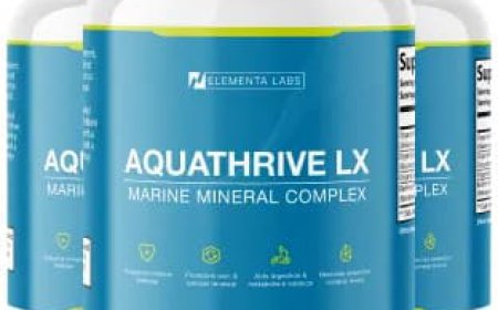 Aquathrive LX: Daily Mineral Support for Hydration, Energy, and Wellness
