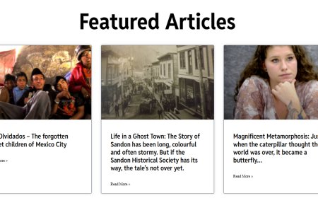 Understanding the Role of Les Merson in Writing, Editing, and Communications