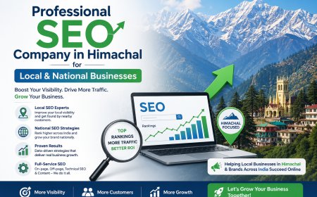 Professional SEO Company in Himachal for Local & National Businesses