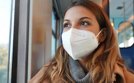 Surgical Mask and Respirator Market: Size, Trends, and Strategic Insights 2026-2033