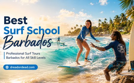 How to Choose the Best Surf Lessons Barbados for Beginners?