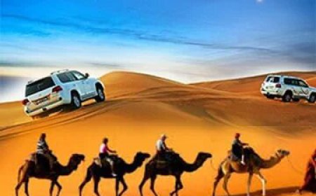 Tours From Marrakech: Unforgettable Journeys Across Morocco