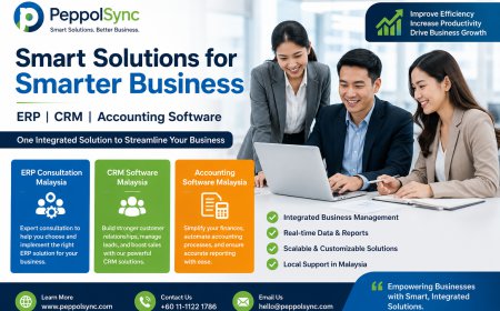 How to Choose the Best ERP Consultation Malaysia for Your Business ?