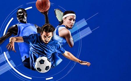 Dreamexch Mobile Account Controls Guide for Daily Use