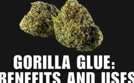 Iowa Medical Marijuana Card: Fast Online Approval
