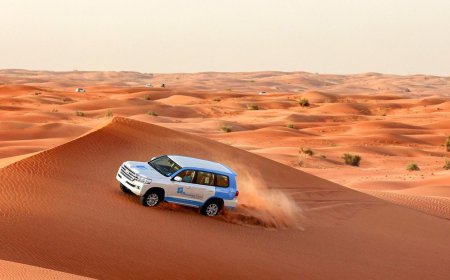 How Do You Choose the Best Desert Safari in Dubai 2026 ?