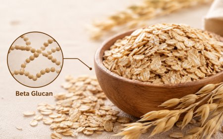 Beta Glucan Market Size, Trends, and Growth Forecast (2026-2033)